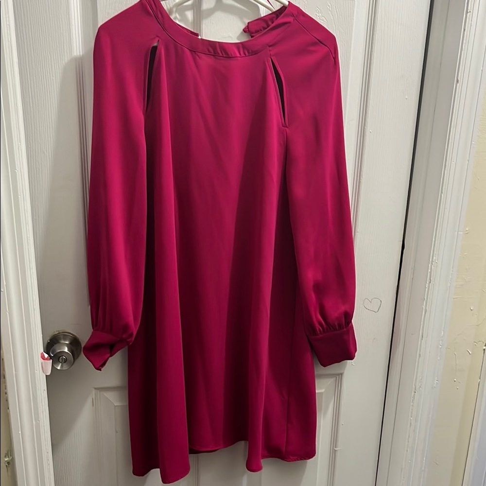 Chic Magenta Long Sleeve Dress